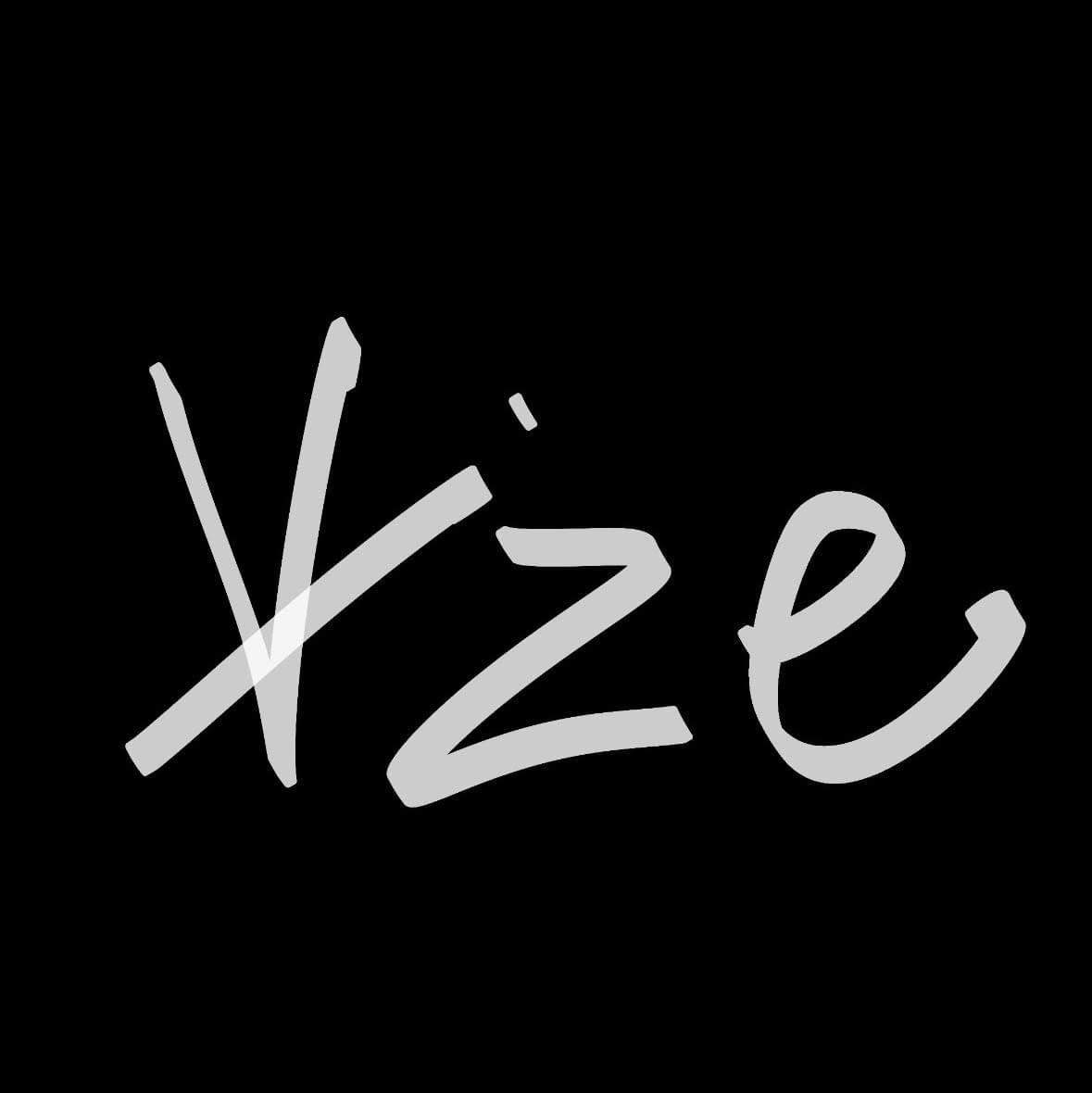Vize